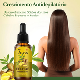 Óleo de Gengibre Para Crescimento de Cabelo - Le Belle