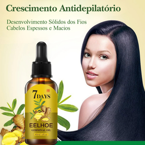 Óleo de Gengibre Para Crescimento de Cabelo - Le Belle